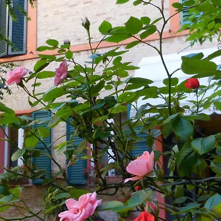 Arena * Мачерата