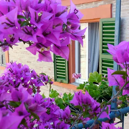 Апартаменты Arena