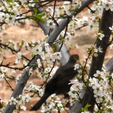 Апартаменты Arena